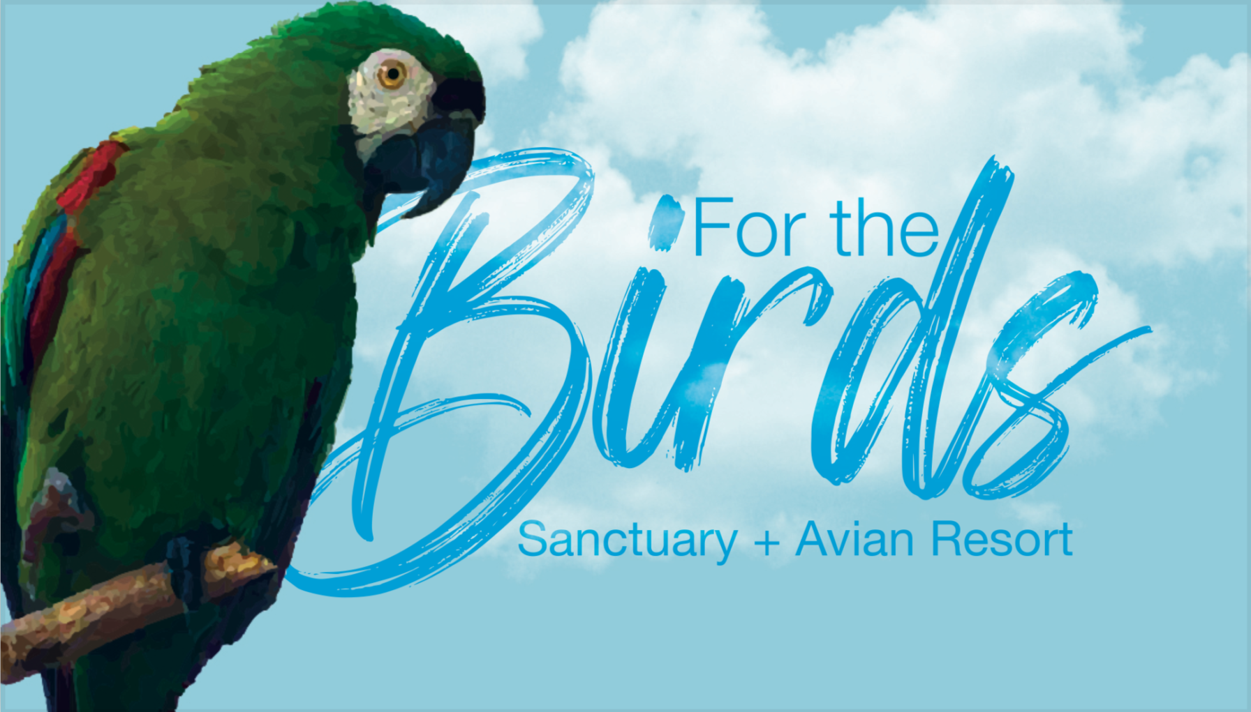 For The Birds